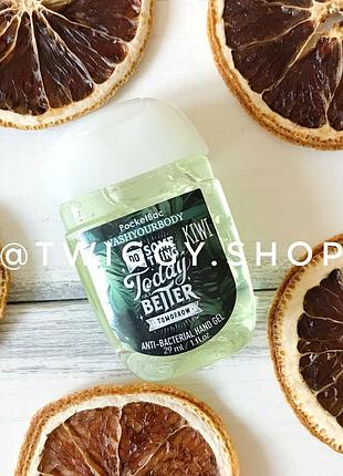 Санитайзер для рук pocketbac kiwi washyourbody