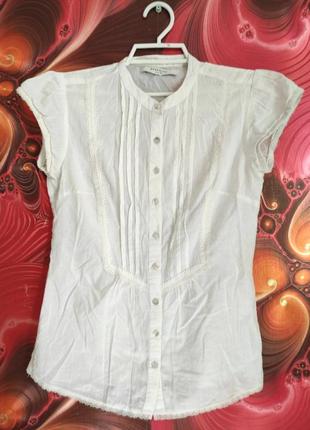 Блуза рубашка з перламутровими пуговками1 фото
