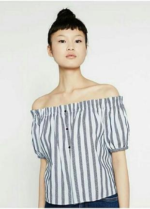 Трендова блуза топ в полоску на ґудзиках з рукавами-ліхтариками collouseum