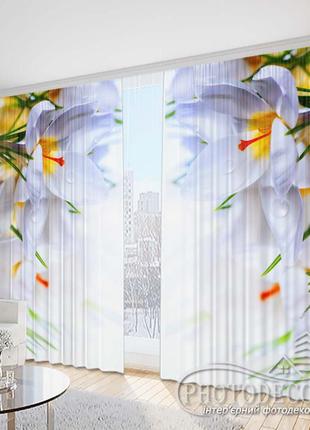 Фото шторы "белые крокусы" - любой размер! читаем описание!