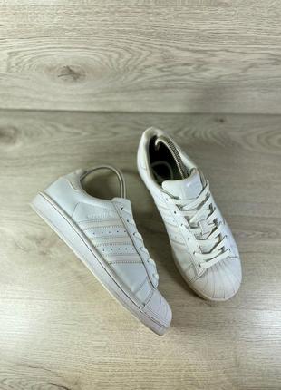 Білосніжні шкіряні adidas superstar