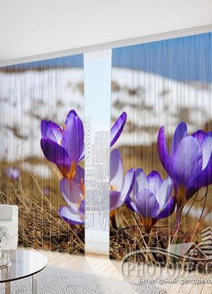 Фото шторы "весняні крокуси" - будь-який розмір! читаємо опис!