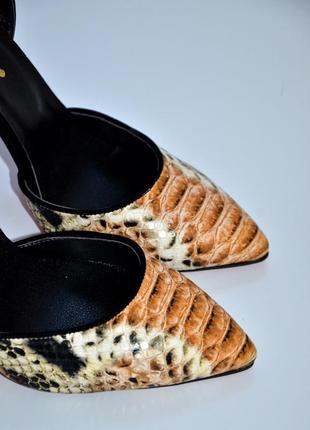 Нові трендові туфлі зміїний принт6 фото
