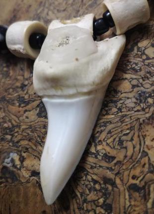 Чоловічий чокер-прикраса real shark tooth necklace (оригінал)3 фото