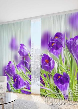 Фото шторы "фиолетовые крокусы " - любой размер! читаем описание!