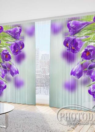 Фото шторы "фиолетовые крокусы 4" - любой размер! читаем описание!