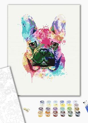 Картина за номерами 40х50 на дерев'яному підрамнику "барвистий бульдог" bs51398