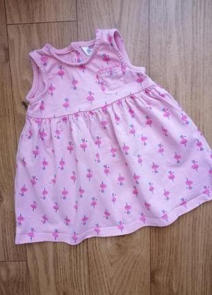 Бавовняне плаття сарафан m&co на 3-6 міс