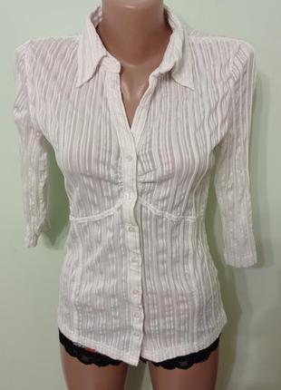 Сорочка блуза блузка рубашка