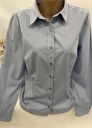 Ніжна сорочка італія