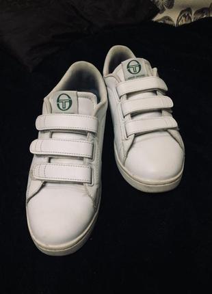 Кеды sergio taccini1 фото