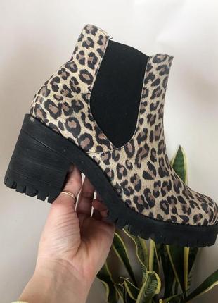 Жіночі чобітки леопардовий принт