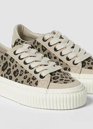 Кеди zara