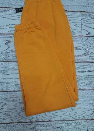 Спортивнi штани на флici