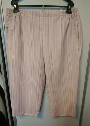 Шорти, бриджі, розмір 56-58