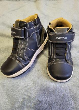 Демисезонные ботинки geox размер 27 17 см1 фото
