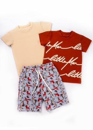 Літній комплект для хлопчиків 💙 комплект футболки + шорти для хлопчиків 💙2 фото