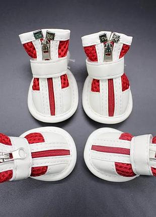 Обувь для домашних животных.  обувь для собак и котов. летняя обувь в сеточку на молнии. сандали для собак и котов.