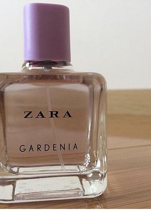 Zara gardenia