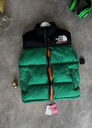 Чоловічий жилет tnf