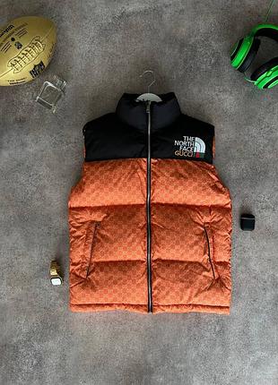 Чоловічий жилет tnf