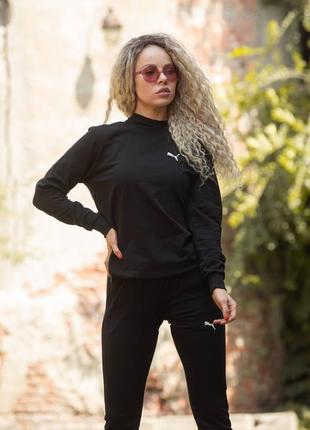 Костюм puma