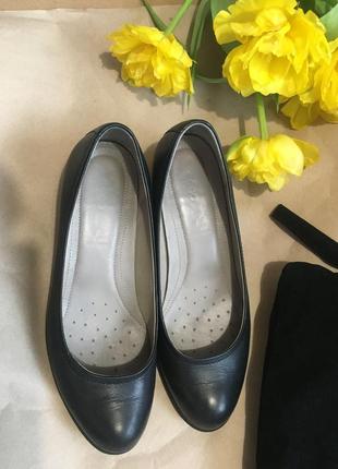 Жіночі туфлі чорного кольору бренду ессо  -  37
