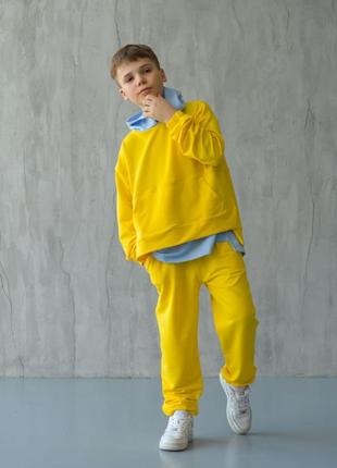 Стильний спортивний прогулянковий костюм двійка унісекс фемелілук8 фото