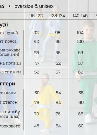 Стильний спортивний прогулянковий костюм двійка унісекс фемелілук10 фото