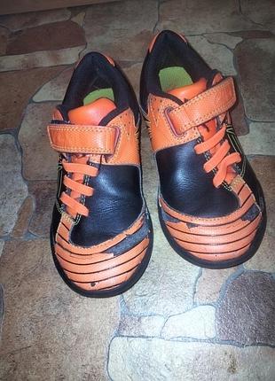 Кроссовки clarks