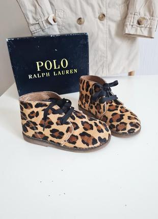 Дезерти polo ralph lauren р. 24