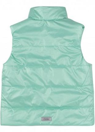 Жл49, жилет, плащівка9 фото