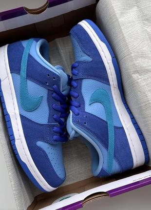 Кроссовки nike sb dunk low blue raspberry fruity pack dm0807-4002 фото