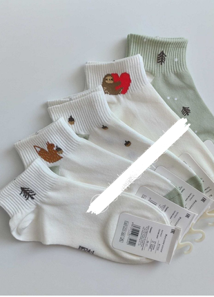 Набор 5 пар упаковка летних носков белые молочные зеленые белочка ленивец