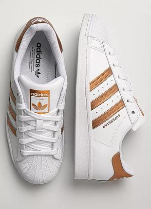 Кеди adidas
