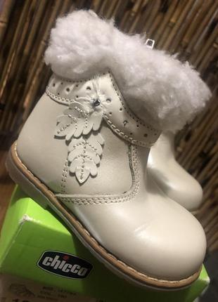 Черевики,чоботи