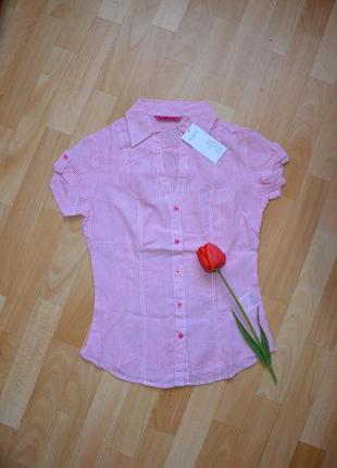 Розовая в полоску хлопковая рубашка terranova1 фото