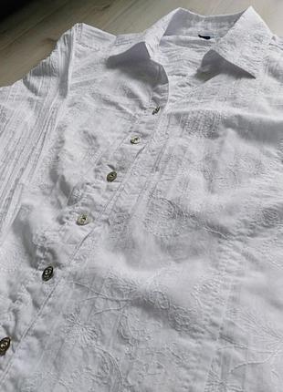 Рубашка блуза белоснежная cecil2 фото