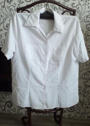 Красива білосніжна блузка 18