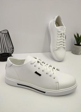 Кеди
