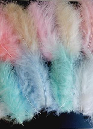 Пір'я кольорове по 15шт перья декоративные цветные от живой птицы ассорти набор 15шт2 фото