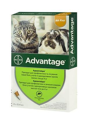 Краплі від бліх і кліщів адвантікс ® -40 для кошенят і кішок до 4 кг (піп*0,4 мл)
