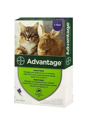 Краплі від бліх і кліщів адвантікс ® -80 для кішок від 4кг (піп*0,8 мл)