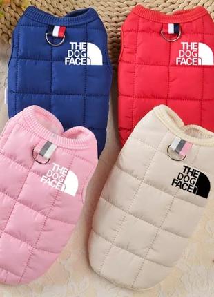 Одяг для собак