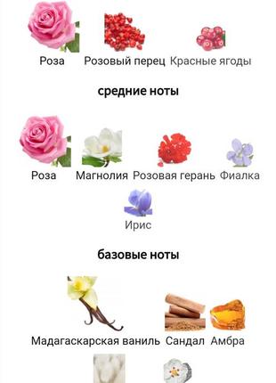 Духи wear love everywhere от haute fragrance company hfc  🌿 пробник 5мл4 фото