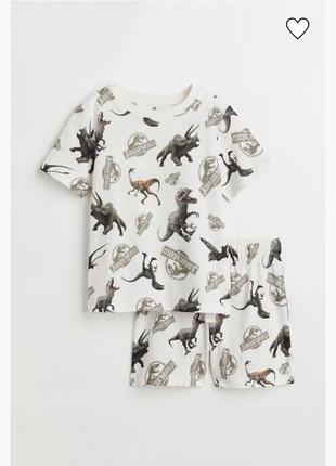 Костюм фірмовий