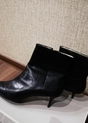 Ботильйоны