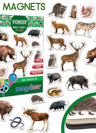 Набор детских магнитов magdum forest photo, в коробке 17х12х4см, magdum, ml4031-29en