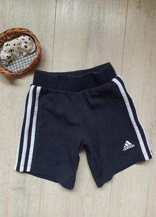 Adidas оригінальні шорти трикотажні 4-5 років