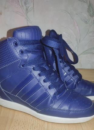 Кеды, сникерсы, кросовки adidas1 фото